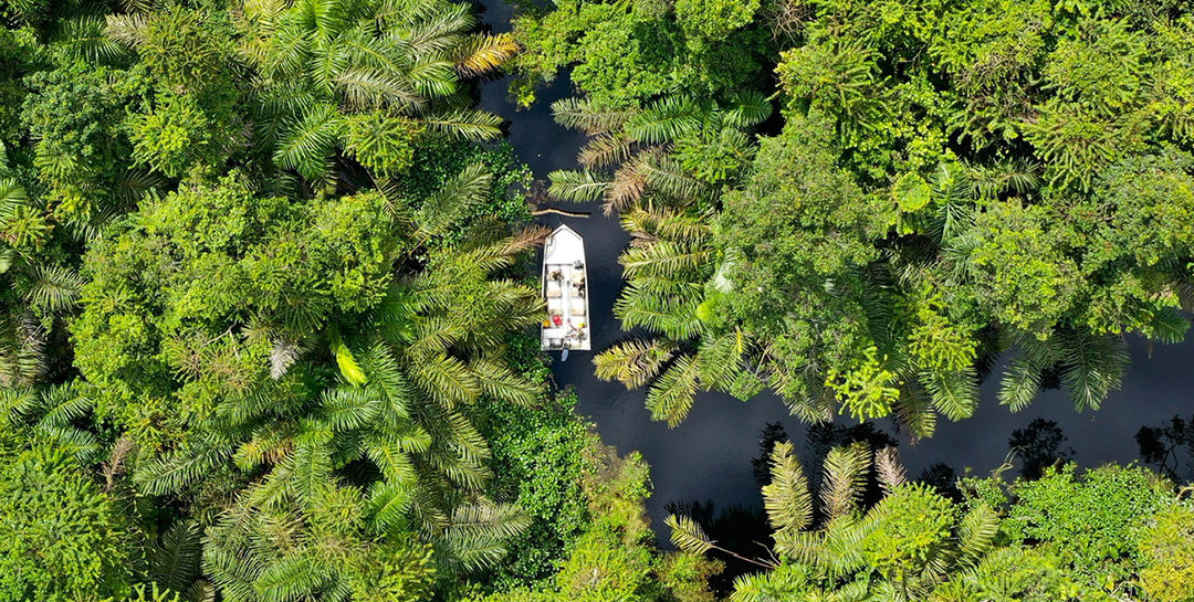 Subvention de l’Union Européenne pour le Parc National de Conkouati-Douli