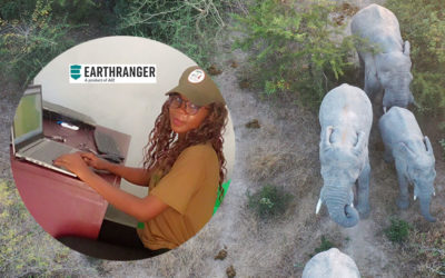 Earthranger and park monitoring in Chad as told by Yvonne Ignageanki